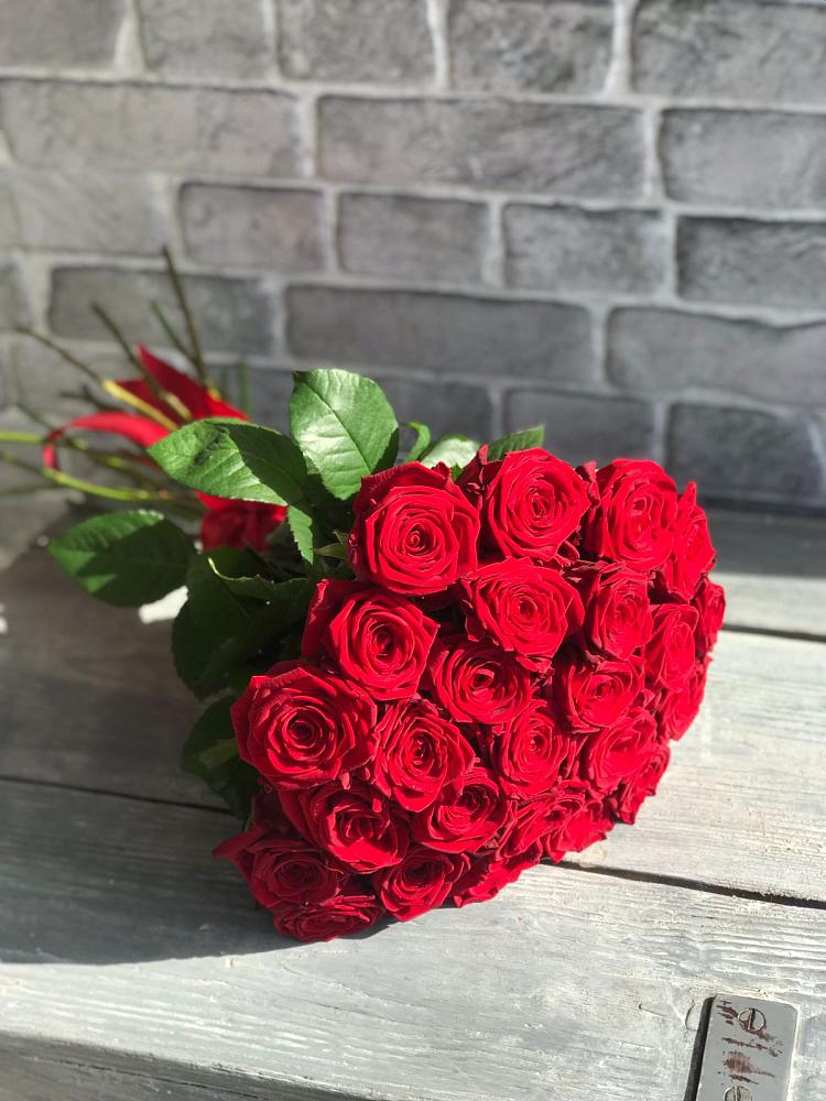 Букет Красные розы Фридом в Пахомово