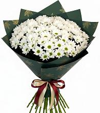 Букет цветов из:  Хризантемы #REPLACE_PRED# Пахомово