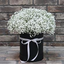 Цветочная композиция из Гипсофила в шляпной коробке в Пахомово