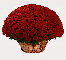 Премиум букет из: Розы в Пахомово